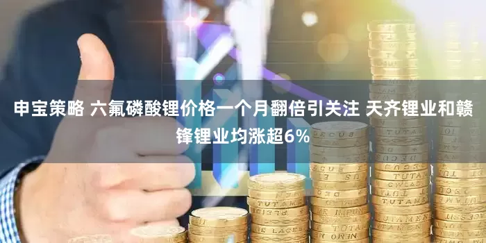 申宝策略 六氟磷酸锂价格一个月翻倍引关注 天齐锂业和赣锋锂业均涨超6%